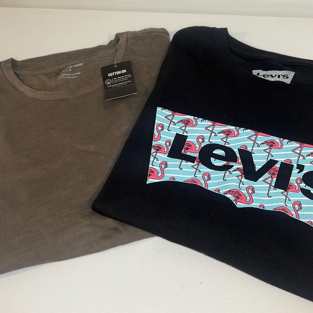 Cotton On & Levi’s Men’s Crew Neck T-shirt | 2 pieces